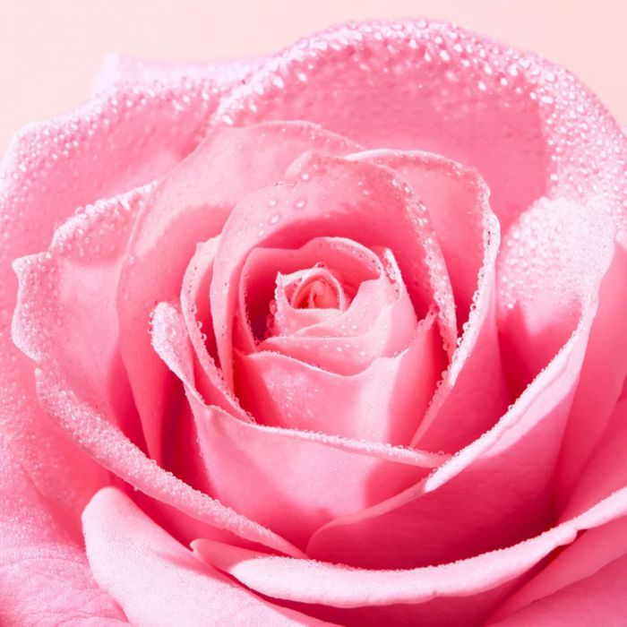 Very Rose 3 In 1 Micellair Water
