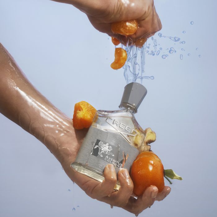Aventus Cologne